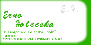 erno holecska business card